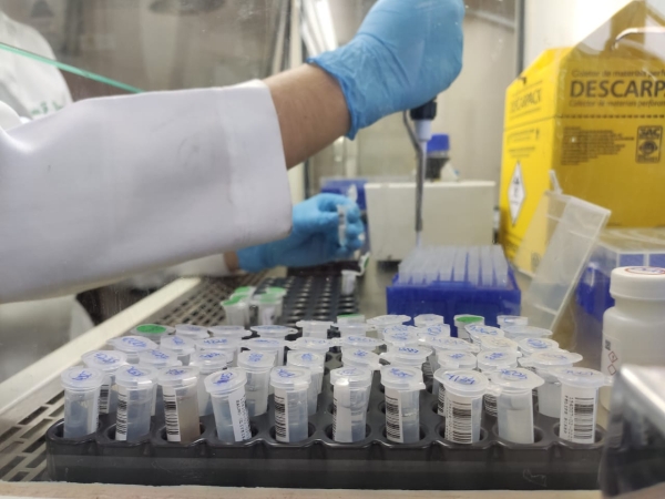 Santa Casa de Porto Alegre incorpora ferramenta suíça para recrutamento de pacientes para estudos clínicos  _