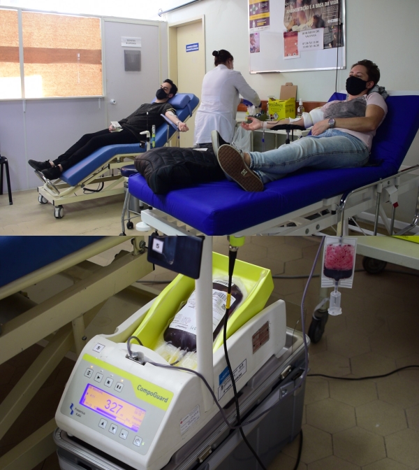 doar sangue tacchini dia d