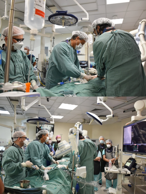 cateter virilha santa casa poa